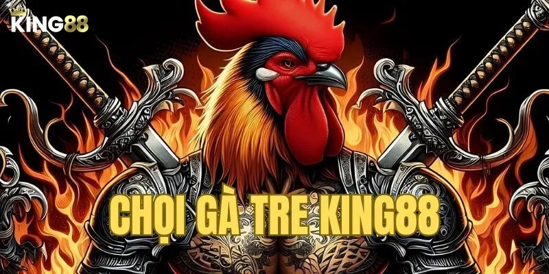 Chọi Gà Tre King88 – Thiên Đường Dành Cho Giới Yêu Kê