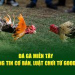 Đá Gà Miền Tây – Thông Tin Cơ Bản, Luật Chơi Từ God88
