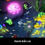 Hack Bắn Cá Là Gì? Hé Lộ Sự Thật Cược Thủ Cần Biết 2025