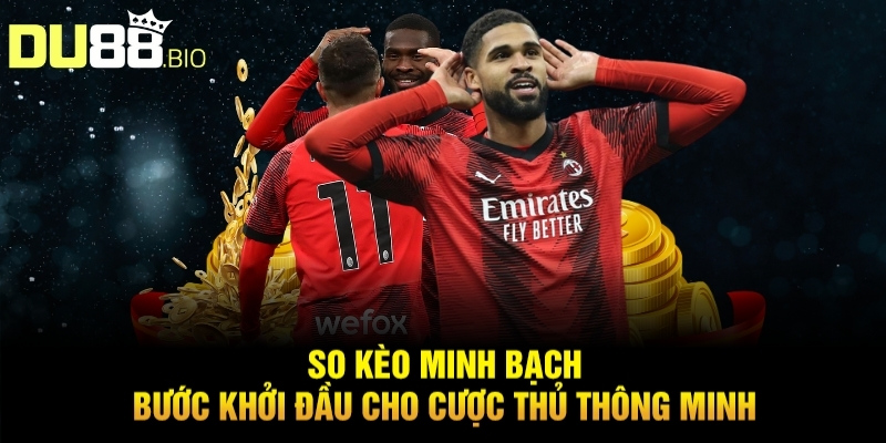 Top 5 Nhà Cái Có Tỷ Lệ Kèo Tốt Nhất
