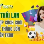 Hilo Thái Lan TK88 – Tổng Hợp Cách Chơi Hay Để Thắng Lớn