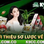 Trang Chủ Chính Thức Của Nhà Cái K9cc Com Co