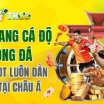Top #6 trang cá độ bóng đá luôn dẫn đầu tại Châu Á